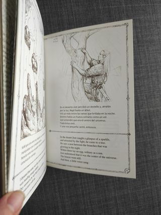 Cuaderno de viajes de Ciruelo