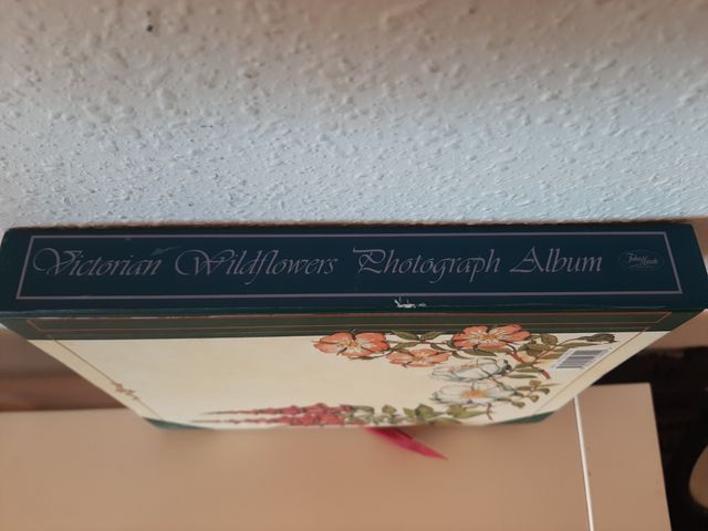 Albun de fotos estilo Victoriano.