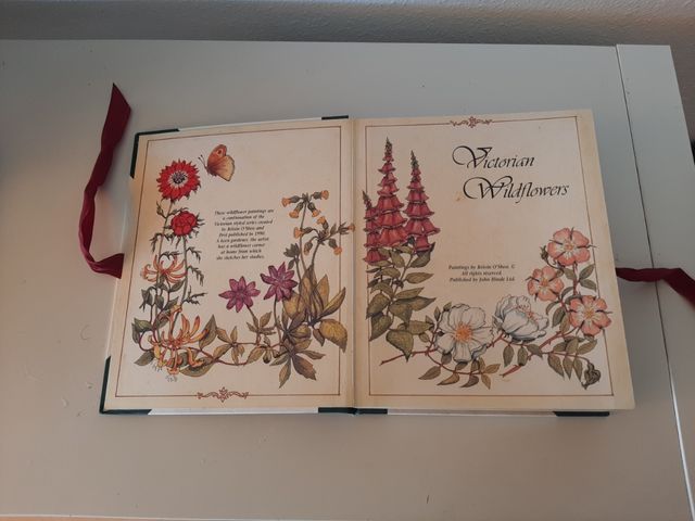 Albun de fotos estilo Victoriano.