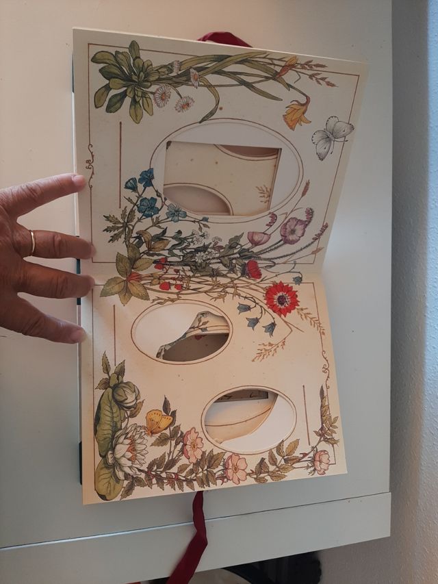 Albun de fotos estilo Victoriano.