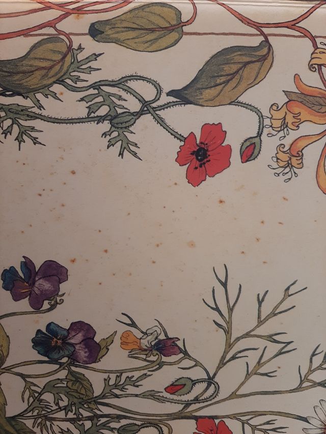 Albun de fotos estilo Victoriano.