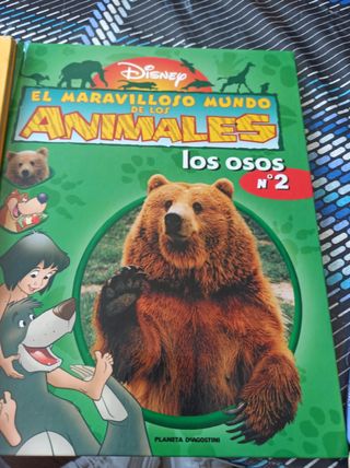 2 libros de animales, los leones y los osos