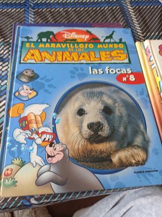 2 libros de animales, los leones y los osos