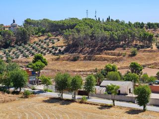 Oficina - Local en alquiler