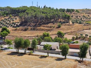 Oficina - Local en alquiler