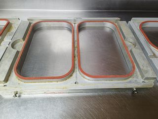 envasadora al vacío con gas