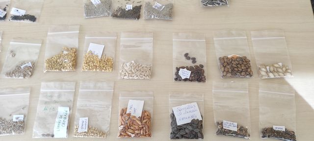 Intercambio de semillas