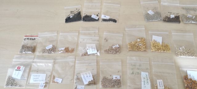 Intercambio de semillas