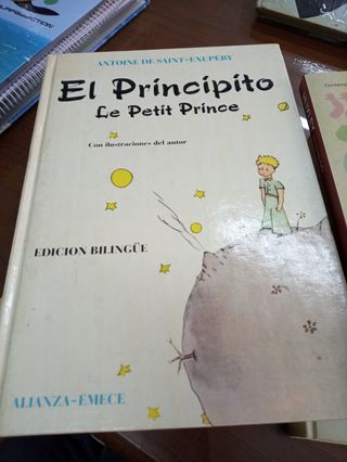 Lote de hermosos libros De varios autores .