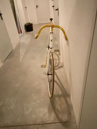Fixie xl (talla 59) 