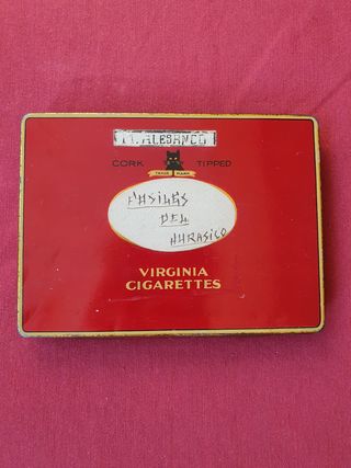 Colección de fósiles muy antigua