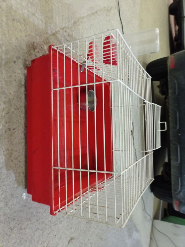 Gàbia per conill