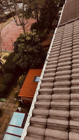 LIMPIEZA DE CANALONES LIMAS