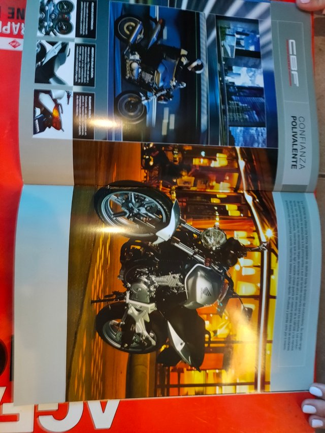 catalogo honda naked cb1300 cb900f cb600f