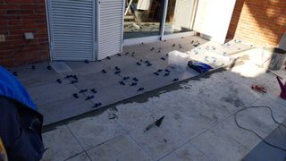 hacemos trabajos de jardinería montaje de césped