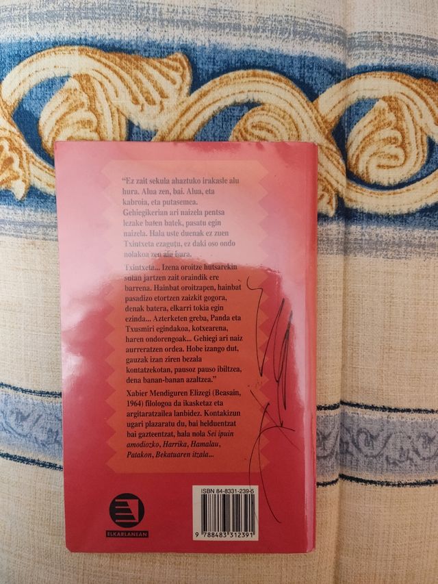 Irakasle alu bat- Xabier Mendiguren