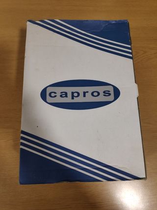 Calzado de seguridad Capros