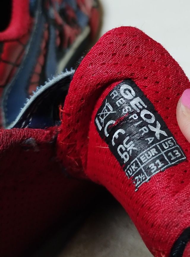 deportivos Geox n° 31