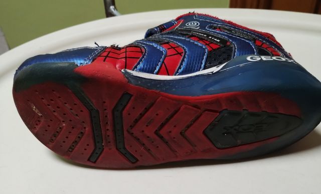 deportivos Geox n° 31