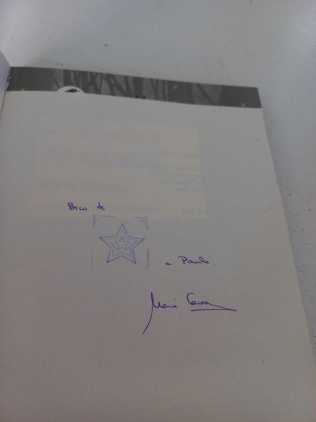 a cazadora de estrelas