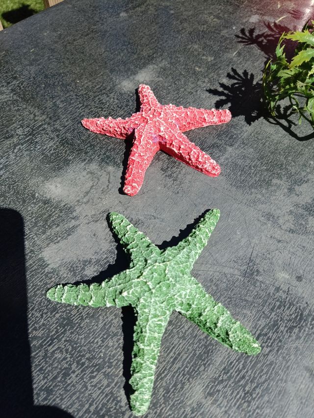 Figuras y plantas Acuario