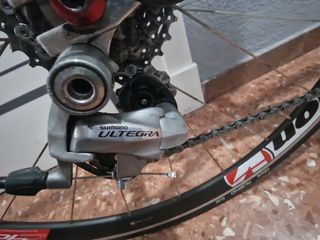 bicicleta triatlon cabra