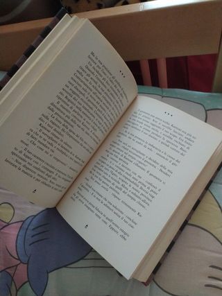 Il ragazzo che sfidò Ramses il Grande - C. Jacq