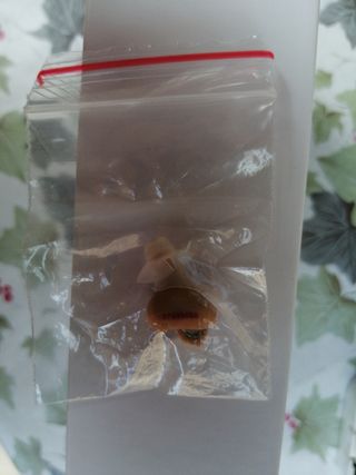 amplificatore acustico polaroidigital invisible 3d