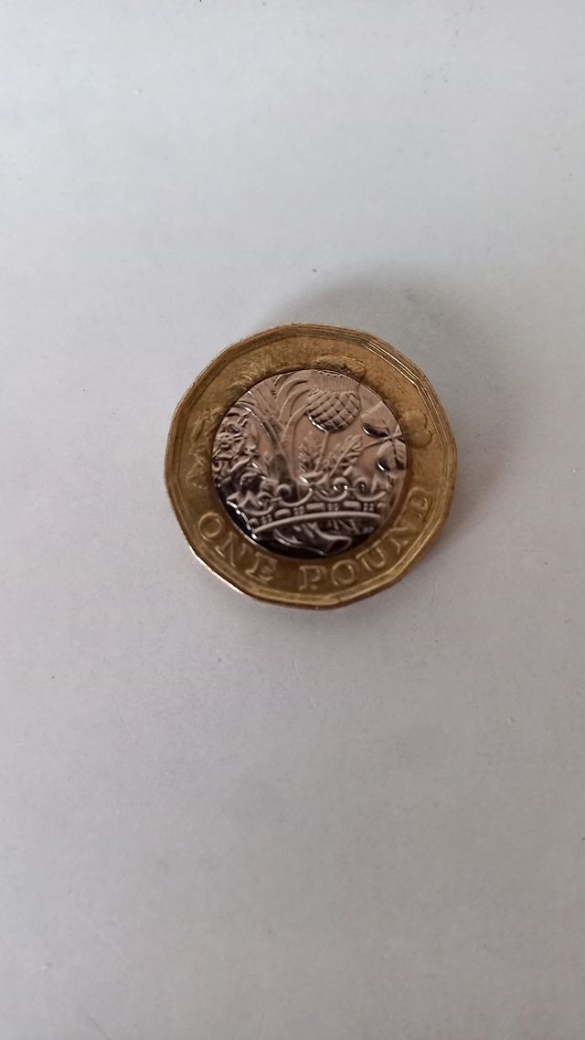 One Pound 2016