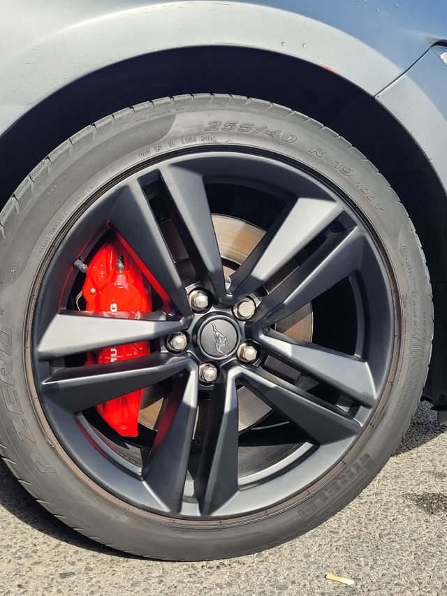 pintura pinzas Mustang