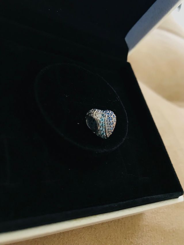Pandora charm