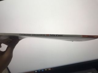 Folie d'ours - Dominique Renaud