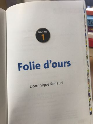 Folie d'ours - Dominique Renaud