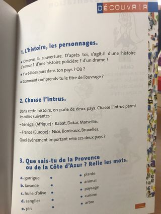 Folie d'ours - Dominique Renaud