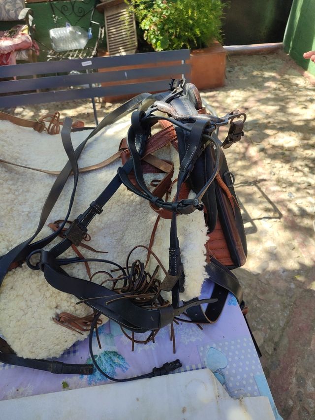 Silla de montar completa marca RAYMO.