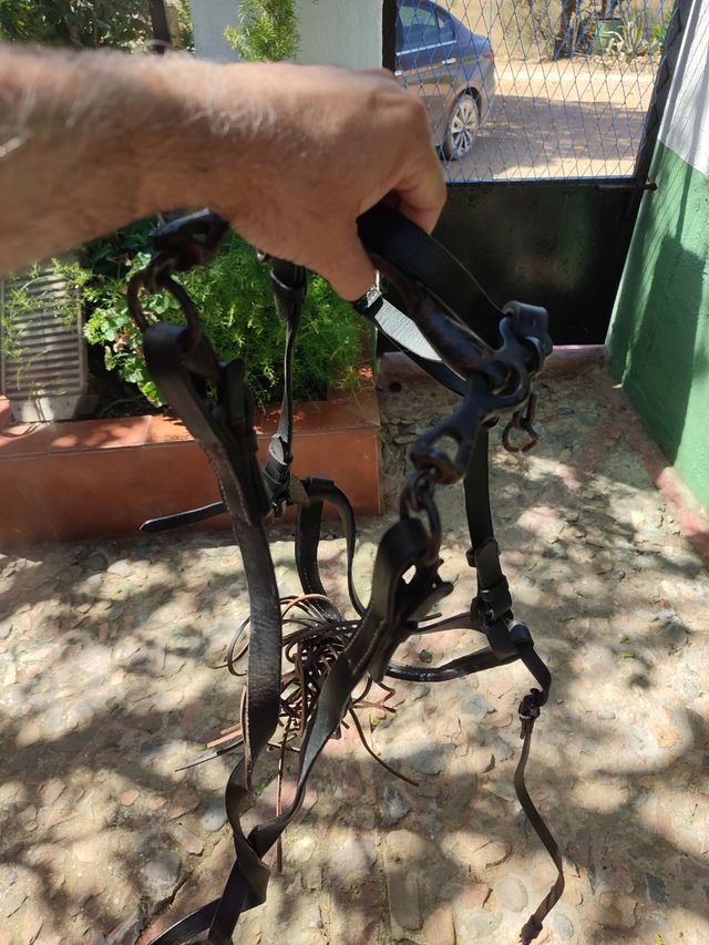 Silla de montar completa marca RAYMO.