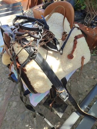 Silla de montar completa marca RAYMO. 