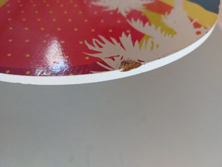 raquetas palas de playa