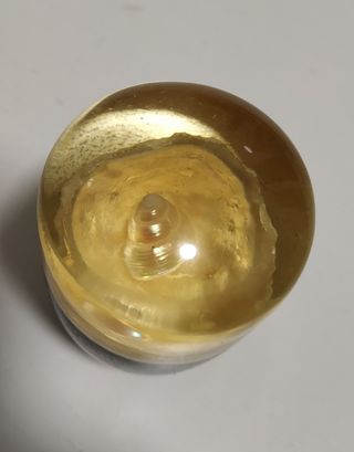 Pomo vintage (bola) palanca de cambios