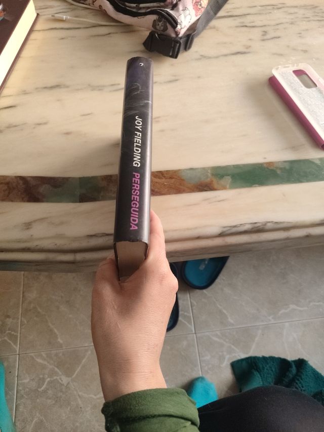 libro perseguida 