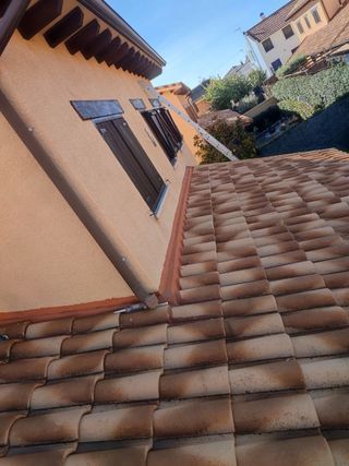 TRABAJO VERTICAL, VIERTEAGUAS