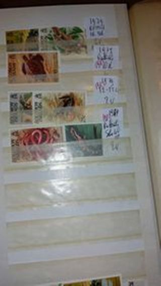 (nu442/444) DEFINITIVE   SOLOMON OFFERTA SPECIALE