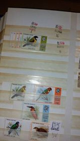 (nu442/444) DEFINITIVE   SOLOMON OFFERTA SPECIALE