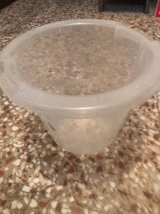 Bañera bebé anti cólicos