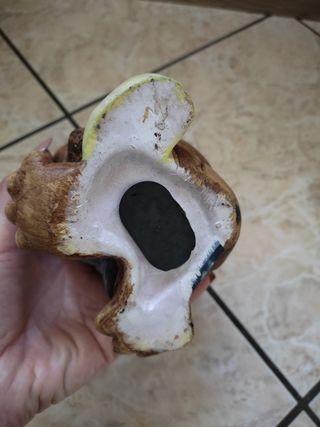 salvadanaio a forma di tartaruga