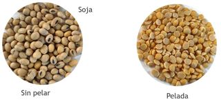 Vendo pelador de espelta, granos y leguminosas