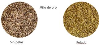 Vendo pelador de espelta, granos y leguminosas