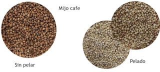 Vendo pelador de espelta, granos y leguminosas