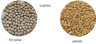 Vendo pelador de espelta, granos y leguminosas