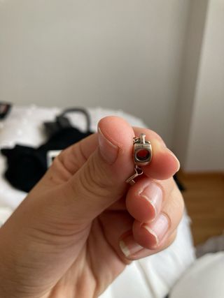 charm pandora 